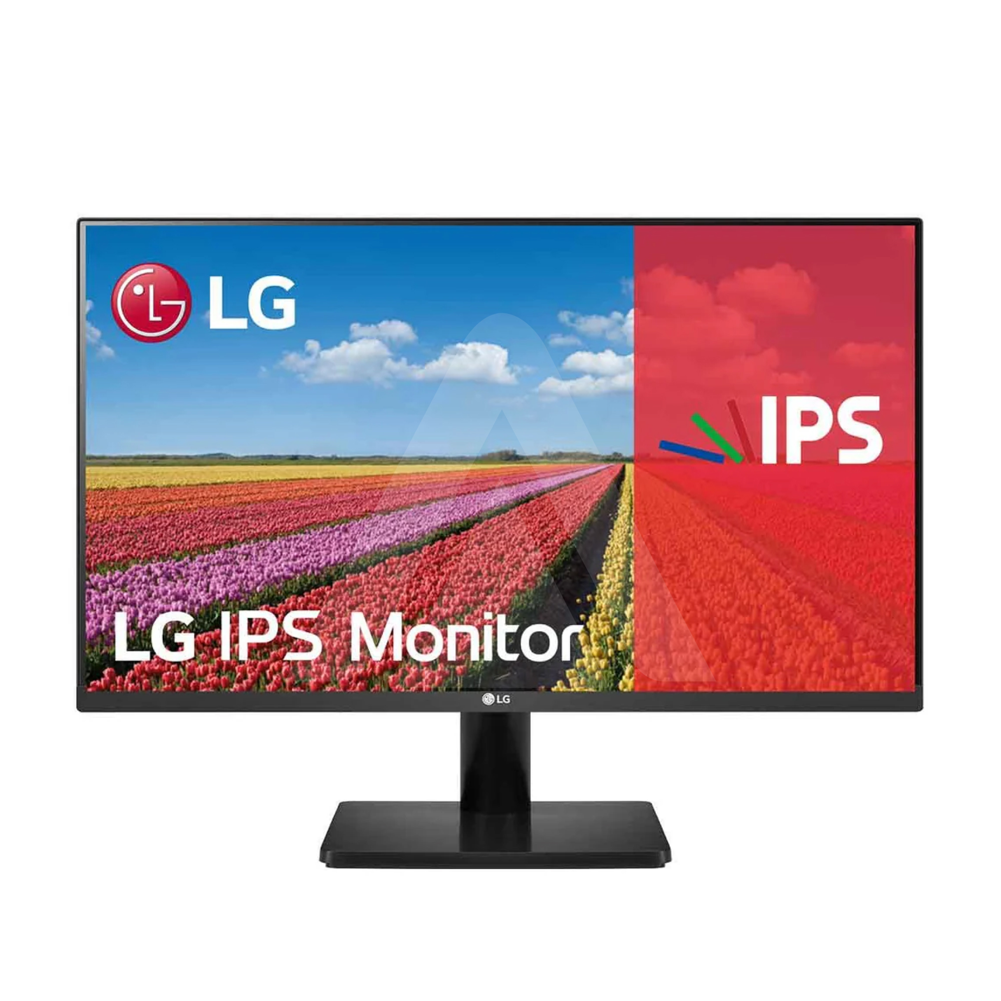 MONITOR LG LED 23.5" IPS MS500 100HZ 2 HDMI BORDERLESS