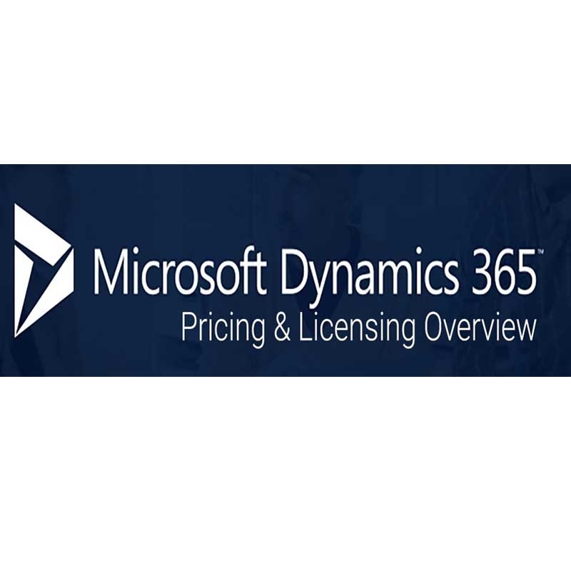 MS CSP Dynamics 365 for Sales Professional (Government Pricing)