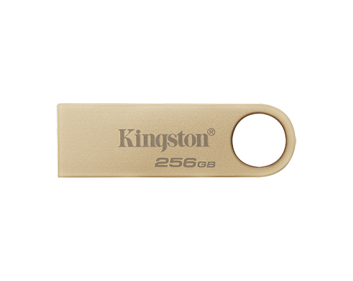 DTSE9G3 256GB USB 3.2 GEN 1