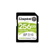 SD CARD CANVAS 256GB